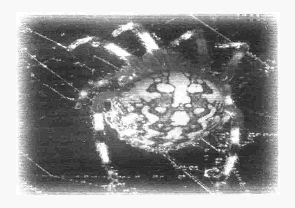 img20