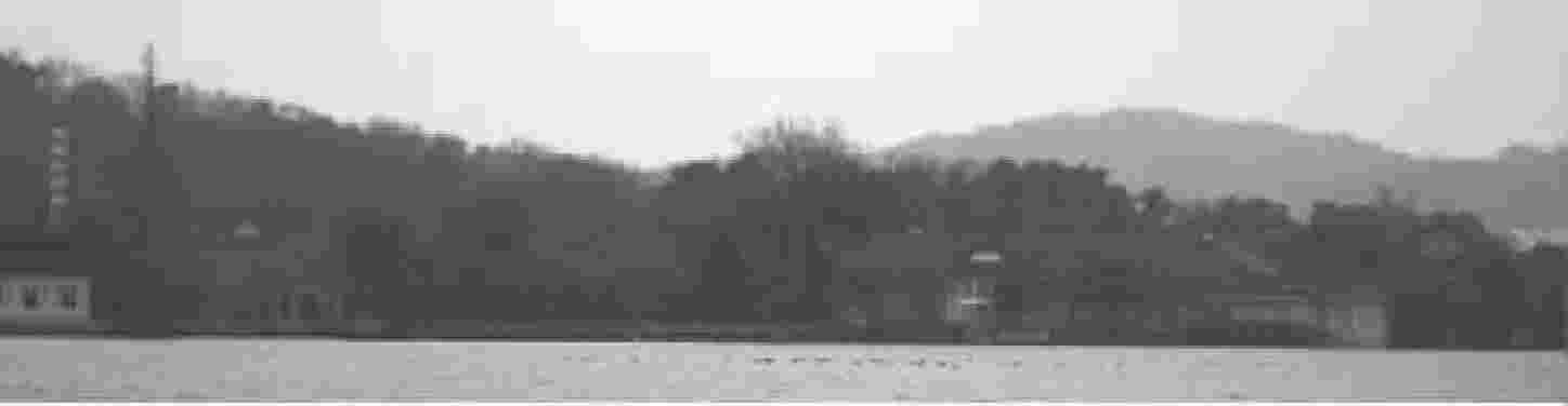 img254