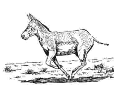 img2