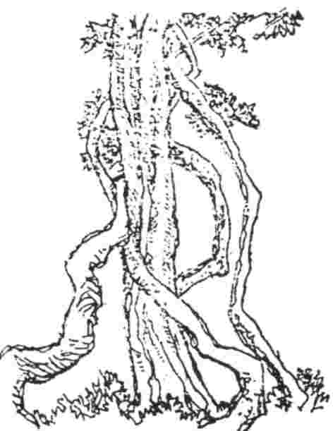 img20
