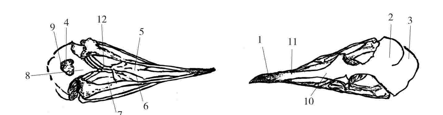 img2