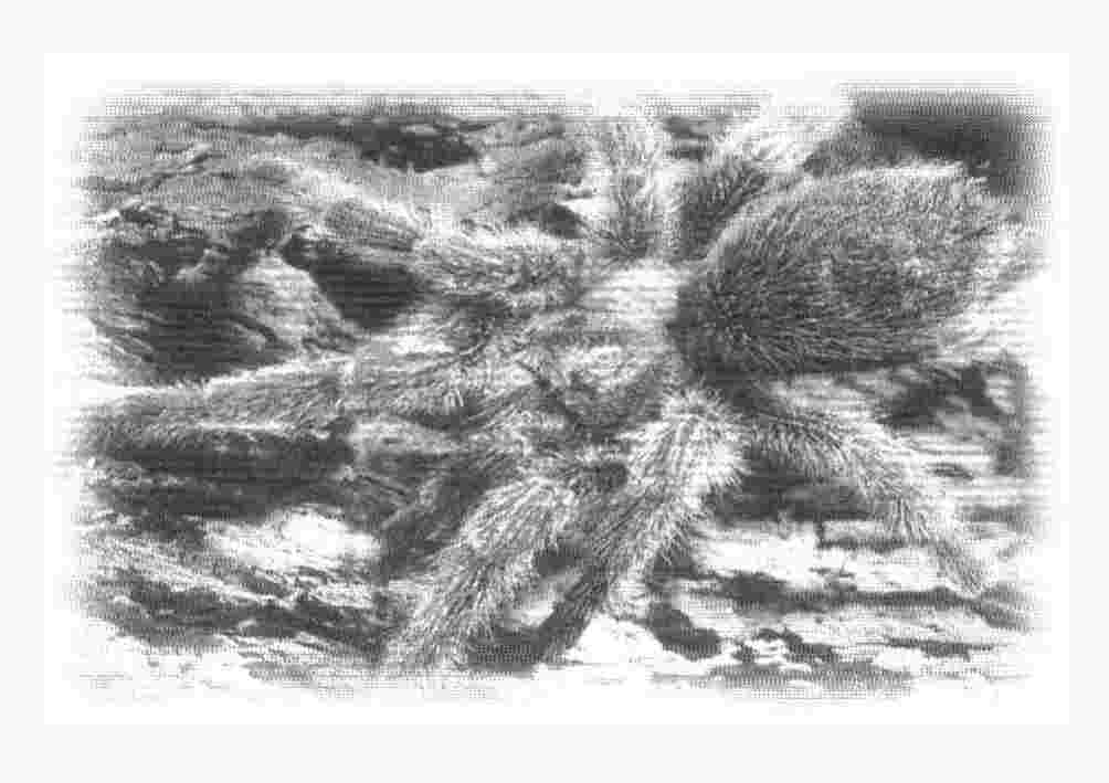 img19