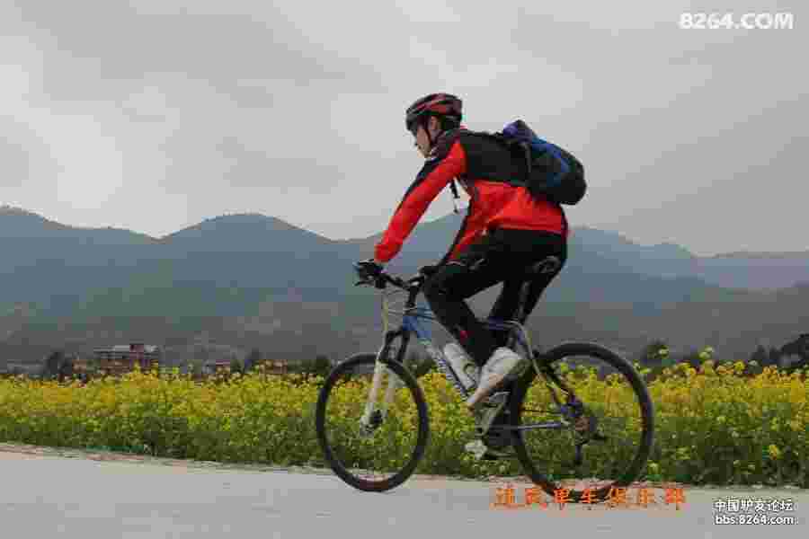 我眼中的厦门十大经典骑行路线