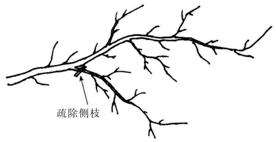 img50