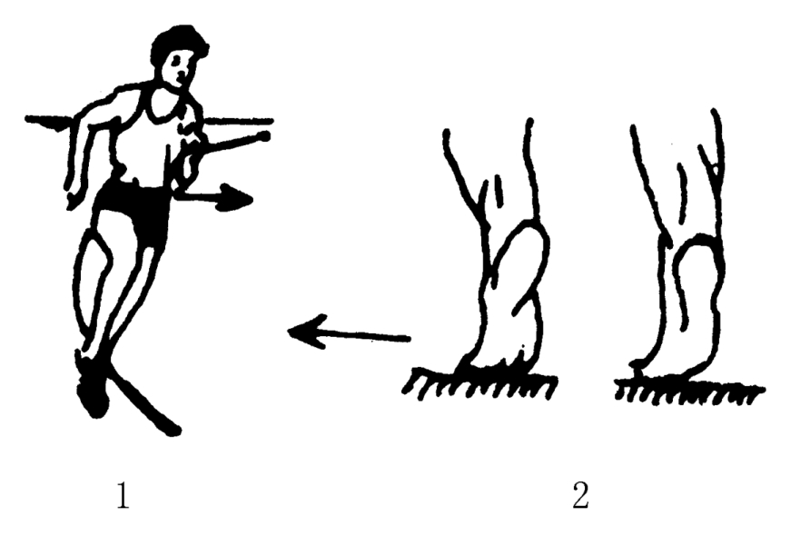 img28