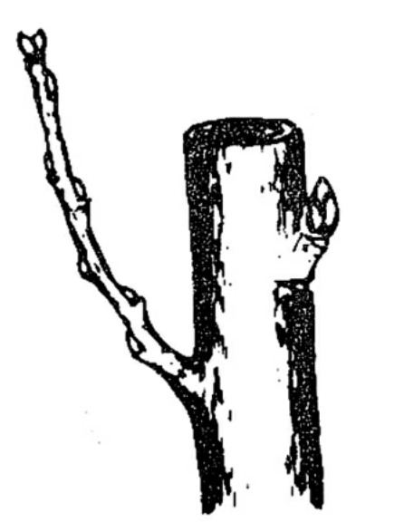 img73