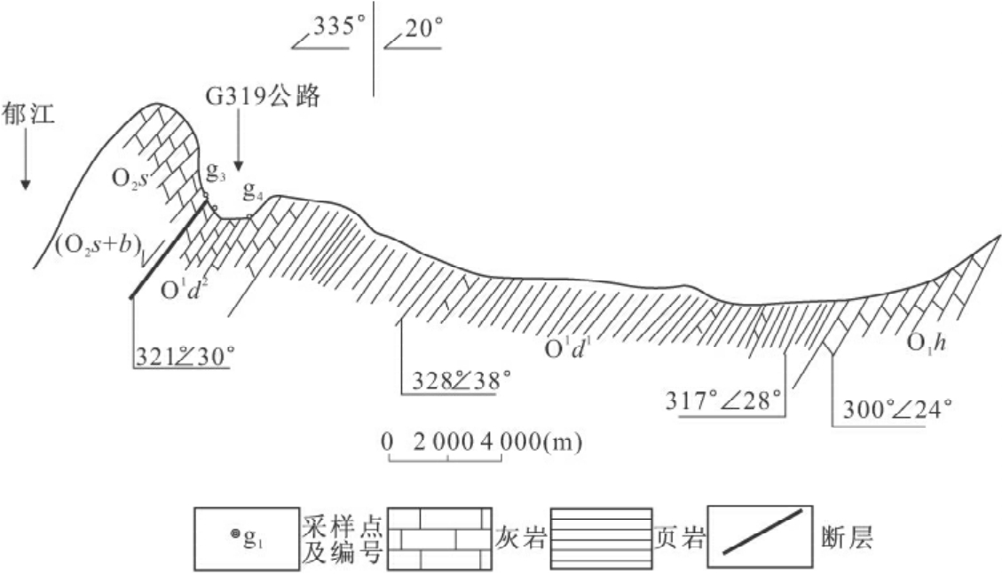 旦子岩断裂表现为一组(图3