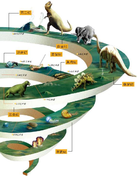 动物进化演变图卡通图片